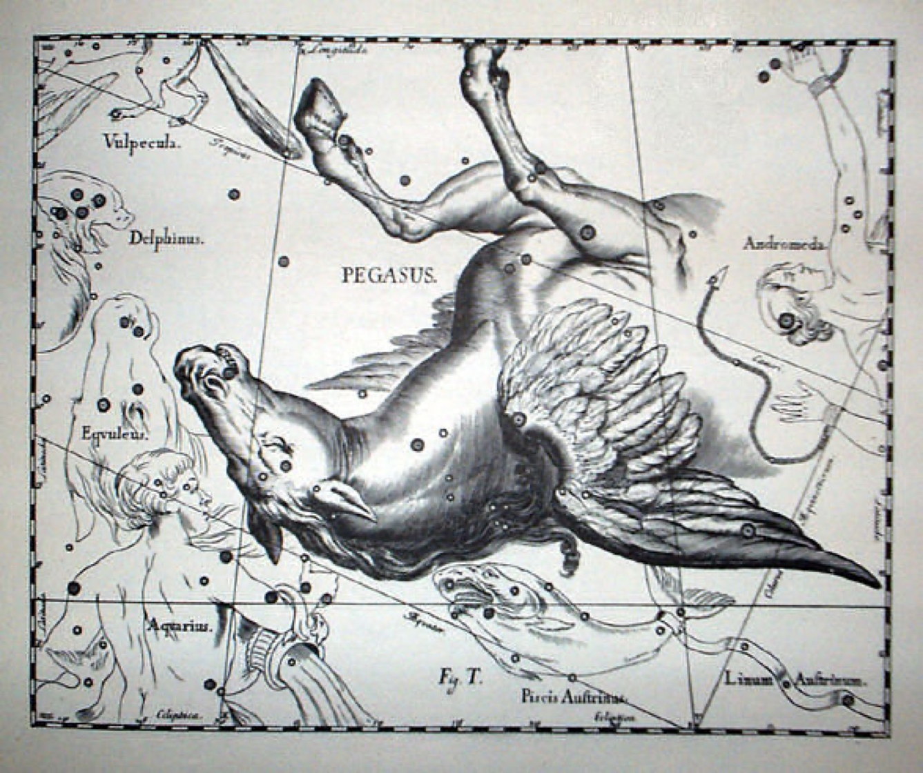 Pegaso, Uranographia - Johannes Hevelius, 1690