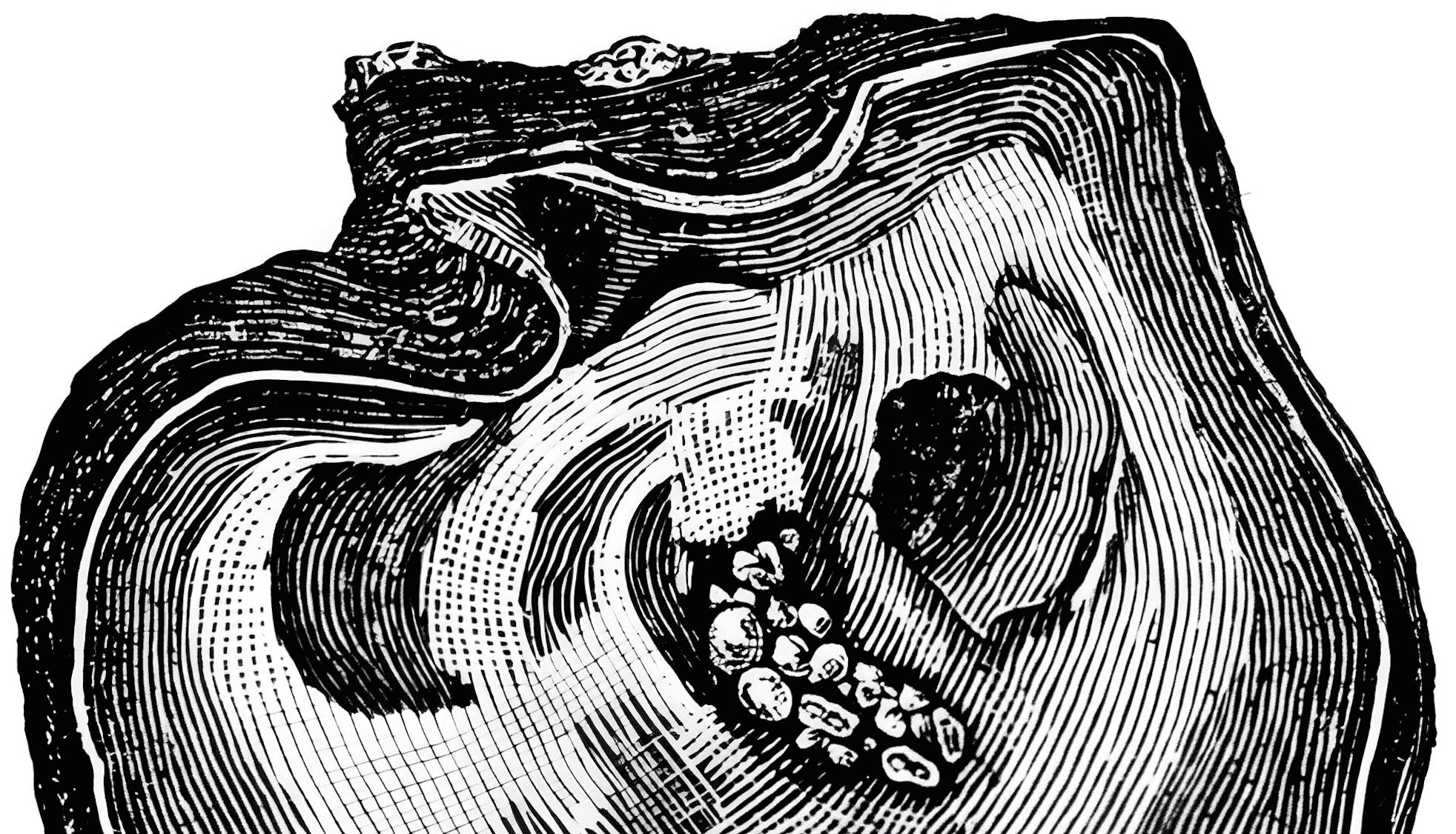 La perla nasce nel mantello, mai nella carne.